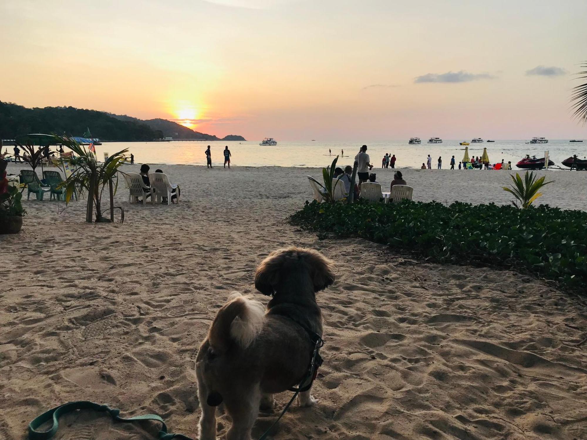 Benetti House Hostel Patong Екстериор снимка