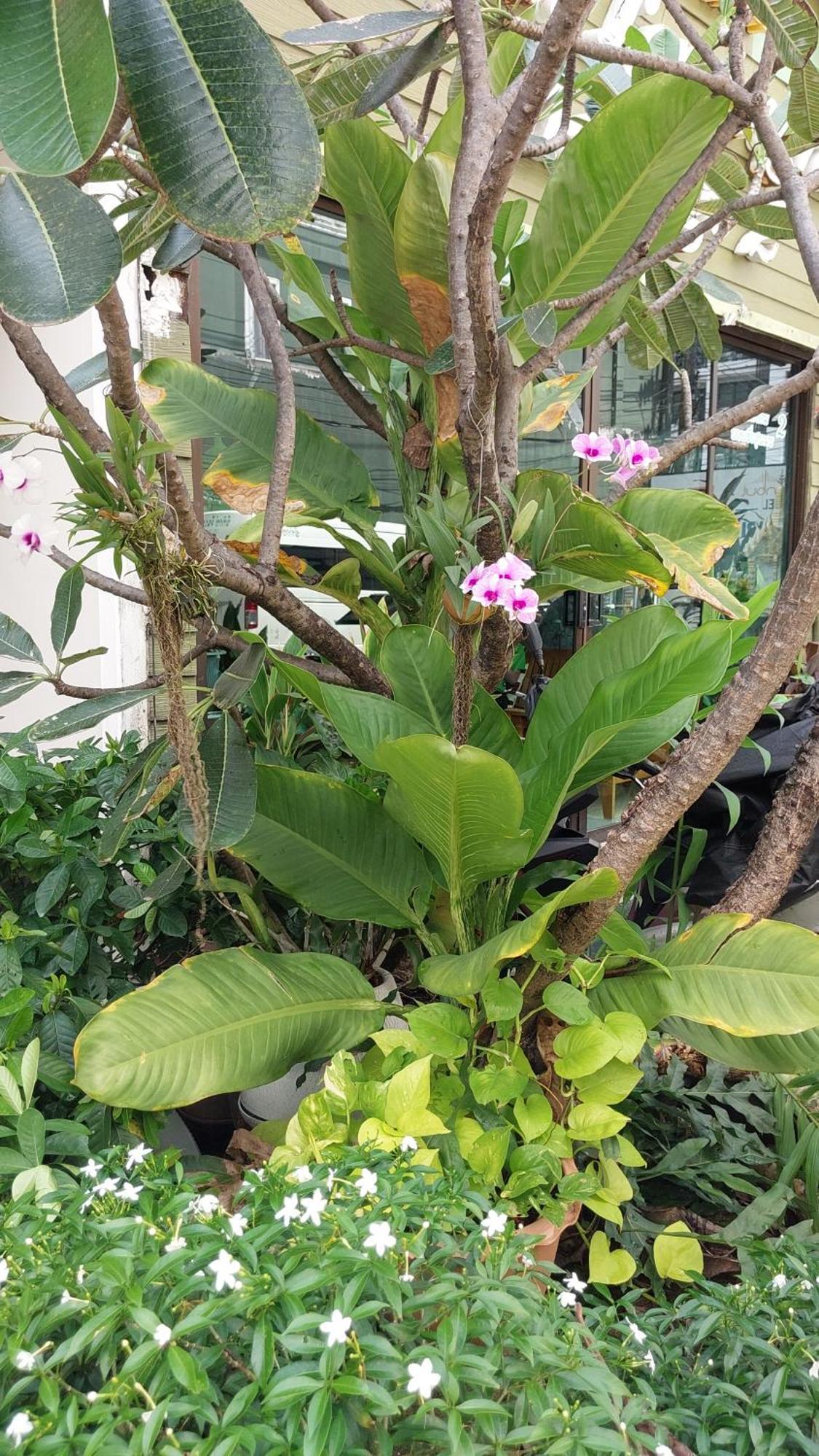Benetti House Hostel Patong Екстериор снимка